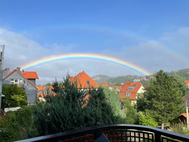 schlossblick